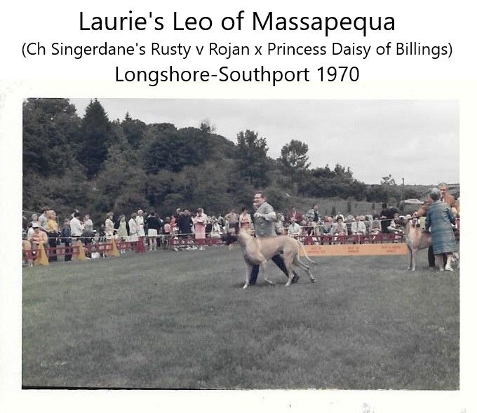 Lauries Leo of Massapequa
